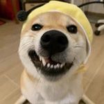 LiuVfx的头像-CG Tuto