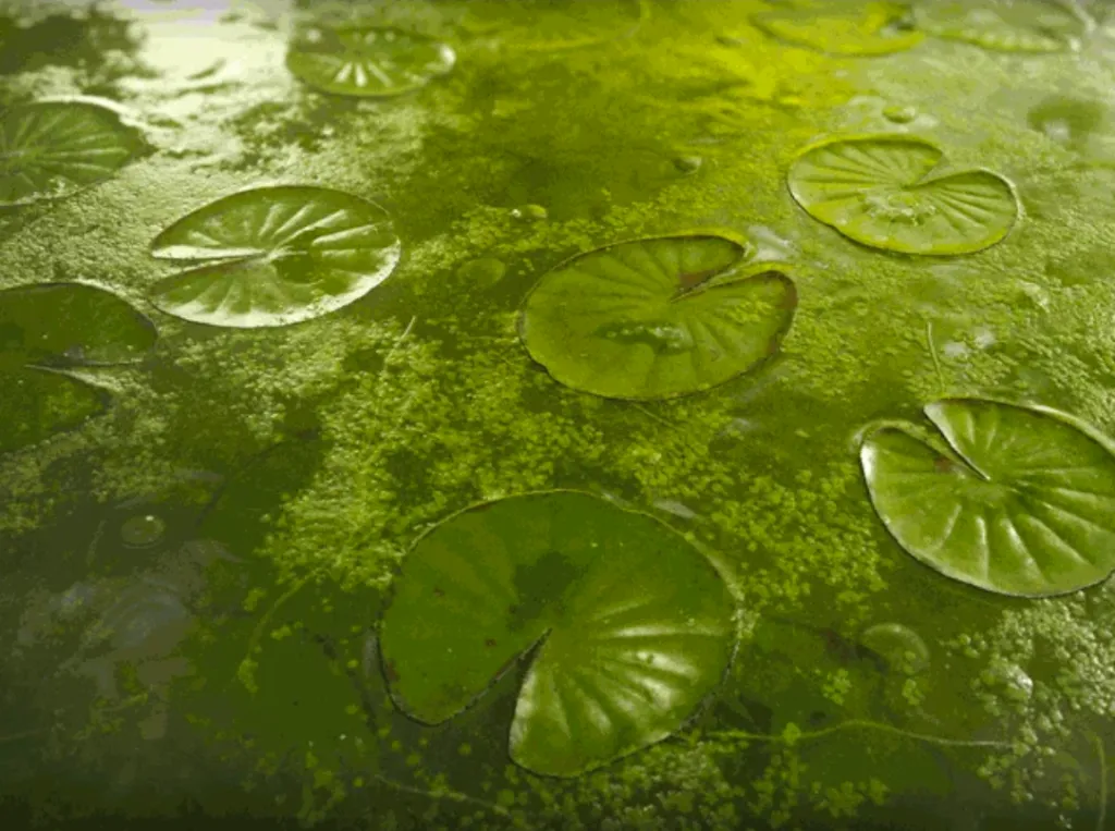 图片[2]-Substance大师班：Vol.4 高级材质篇-CG Tuto