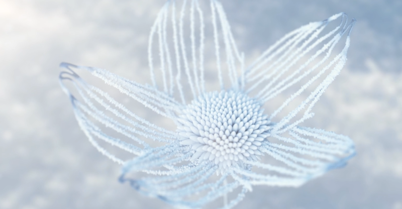 Houdini抽象特效入门-CG Tuto