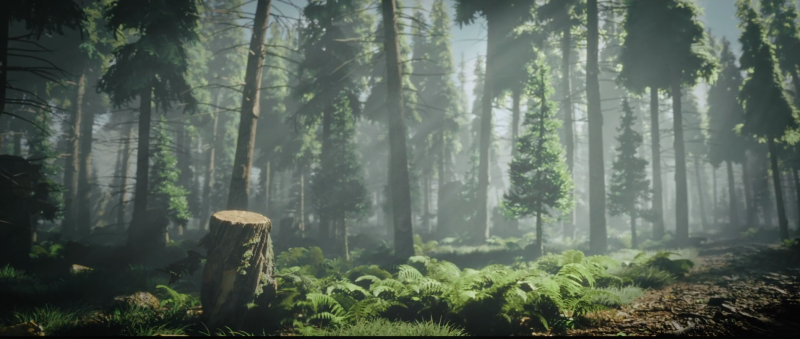 SpeedTree 10 与 UE5 PCG 森林生态构建大师课-CG Tuto