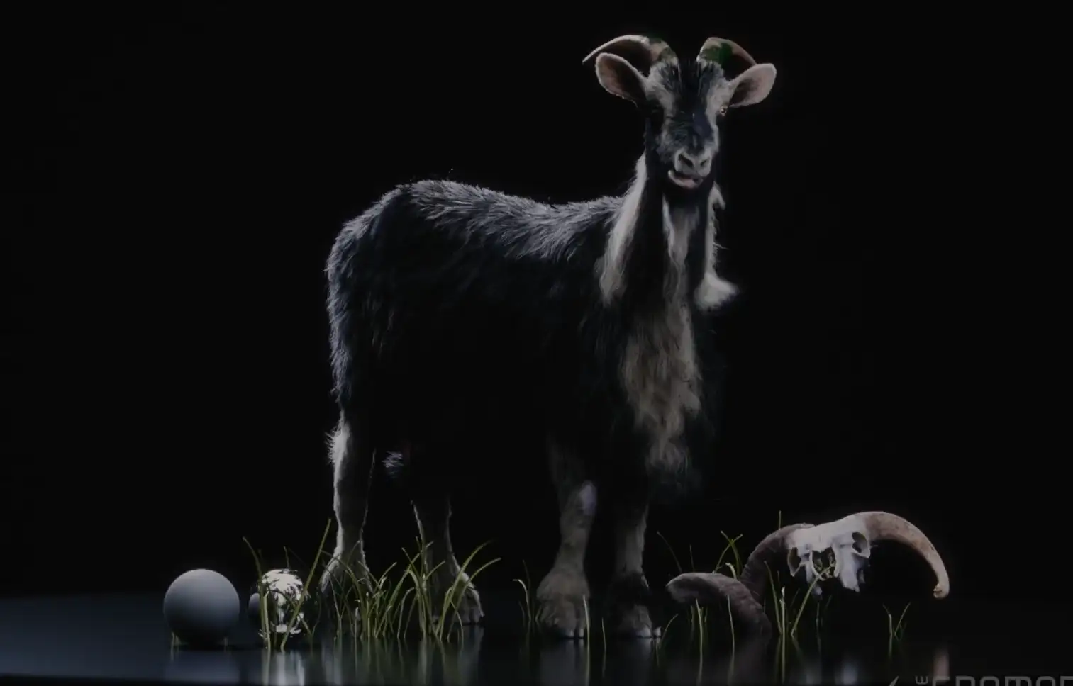 Houdini 山羊毛发仿真模拟-CG Tuto