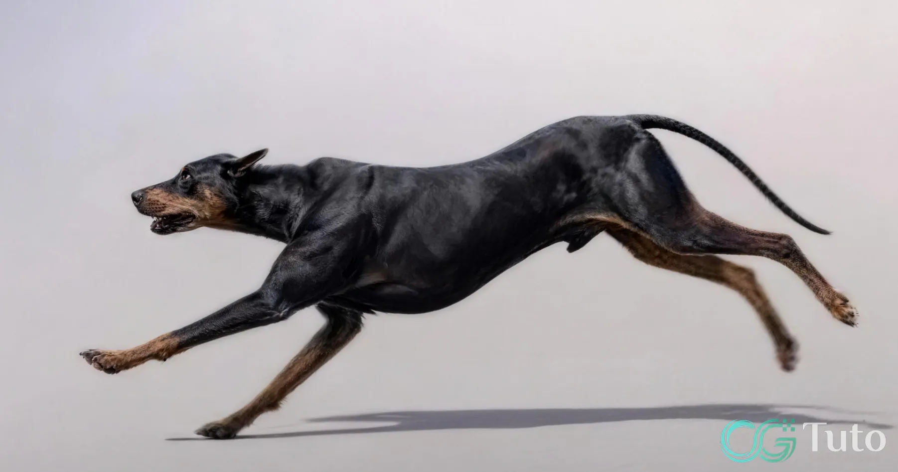 图片[1]-如何在 Maya 中制作狗狗奔跑循环动画-CG Tuto