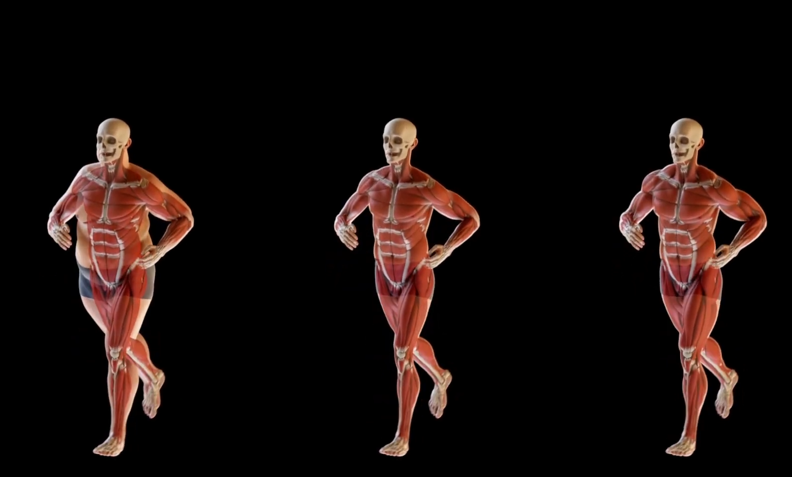 Houdini21 肌肉模拟大师课-CG Tuto