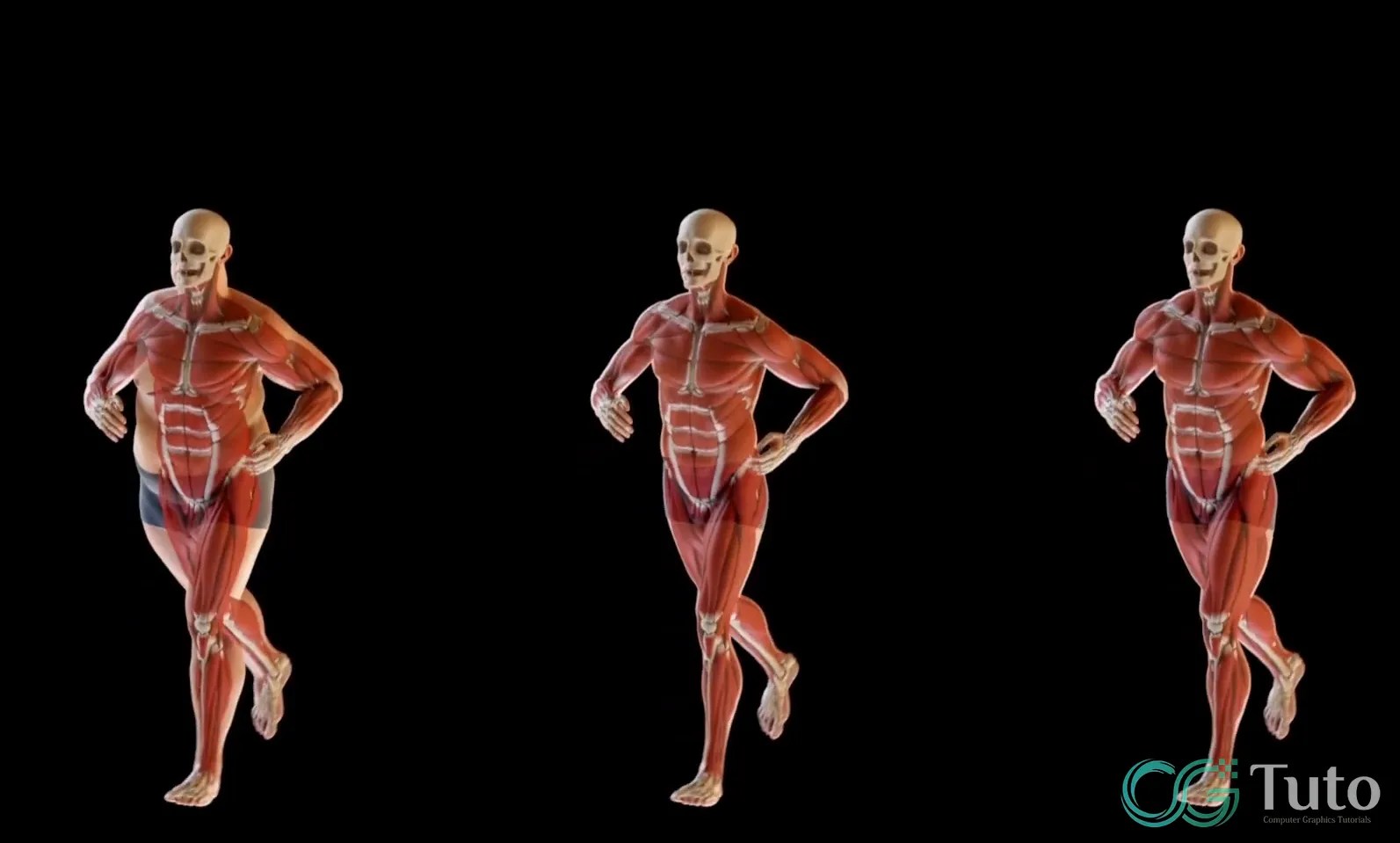 图片[1]-Houdini21 肌肉模拟大师课-CG Tuto