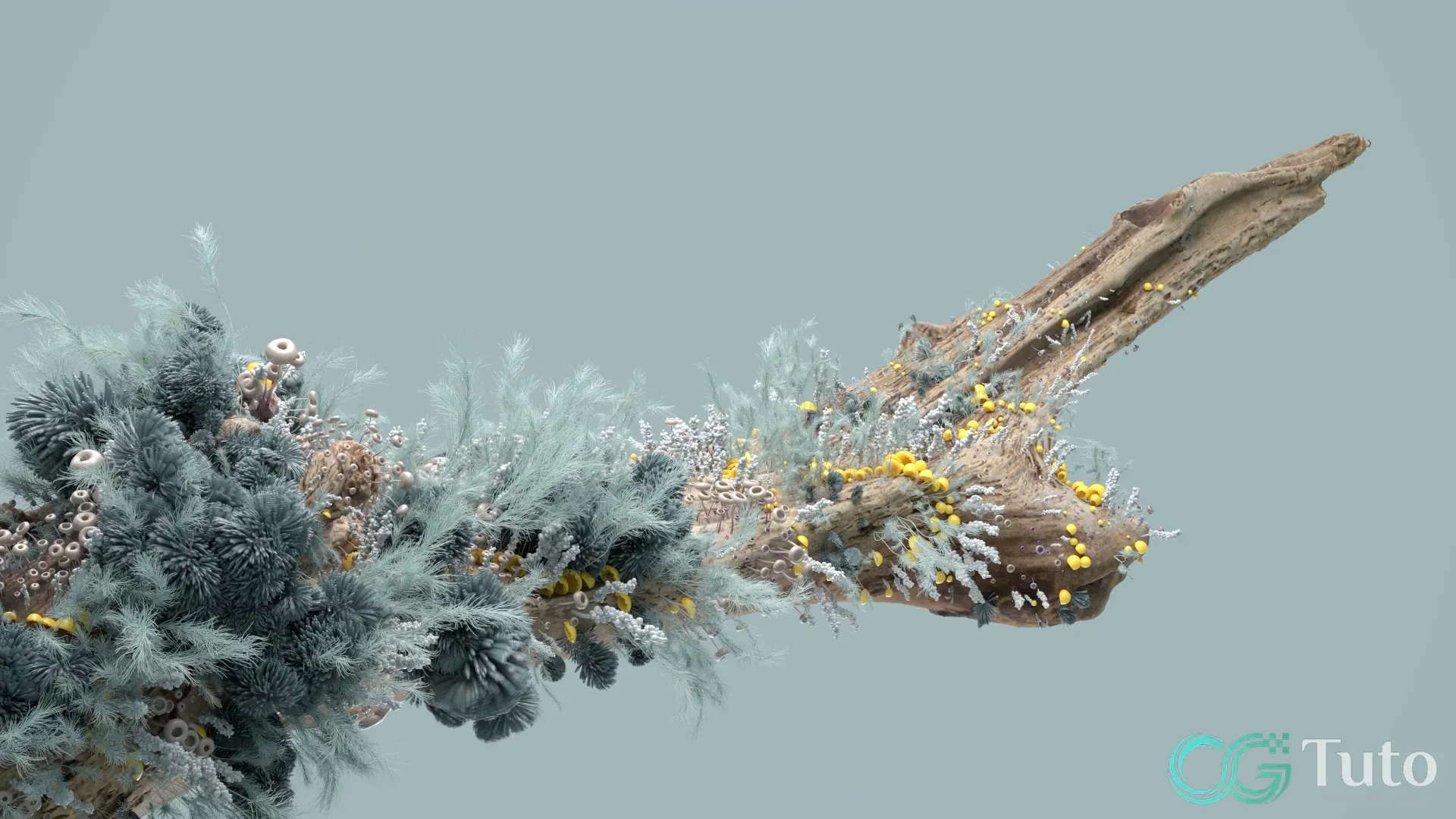 图片[2]-Houdini 花卉生长开花-CG Tuto