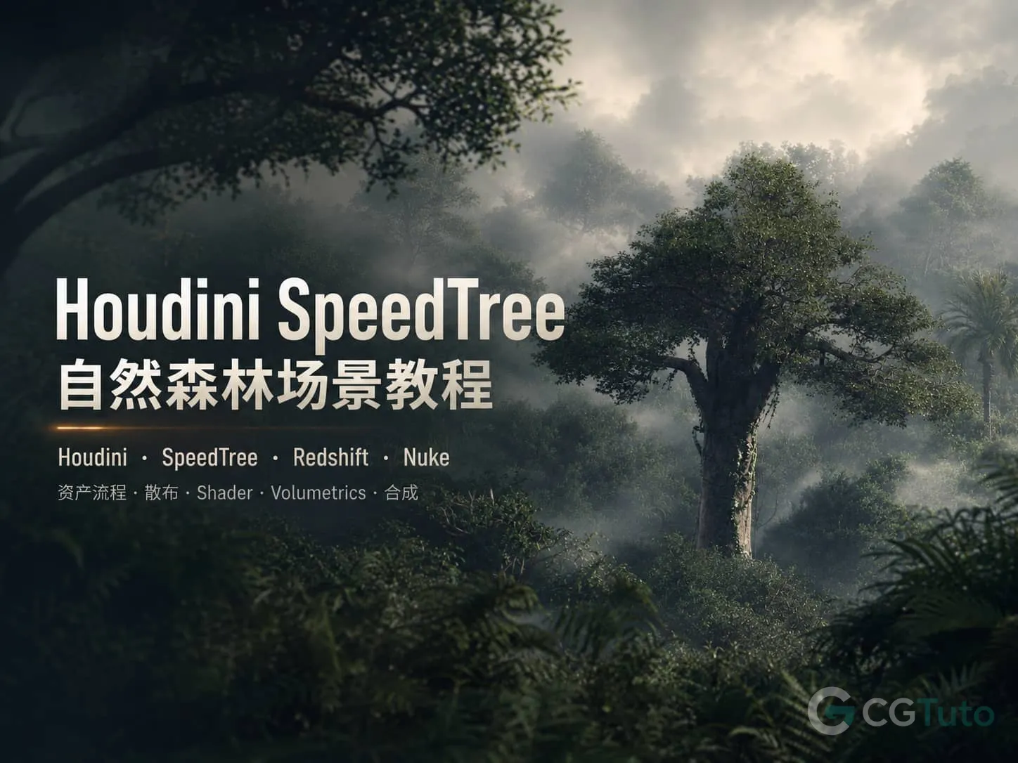 图片[1]-Houdini SpeedTree 自然森林场景教程-CG Tuto
