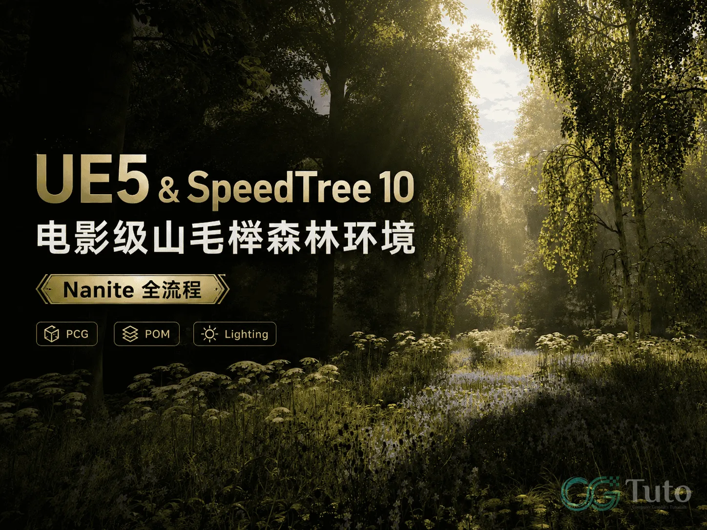 图片[1]-UE5 & SpeedTree 10 电影级山毛榉森林环境 Nanite 全流程-CG Tuto